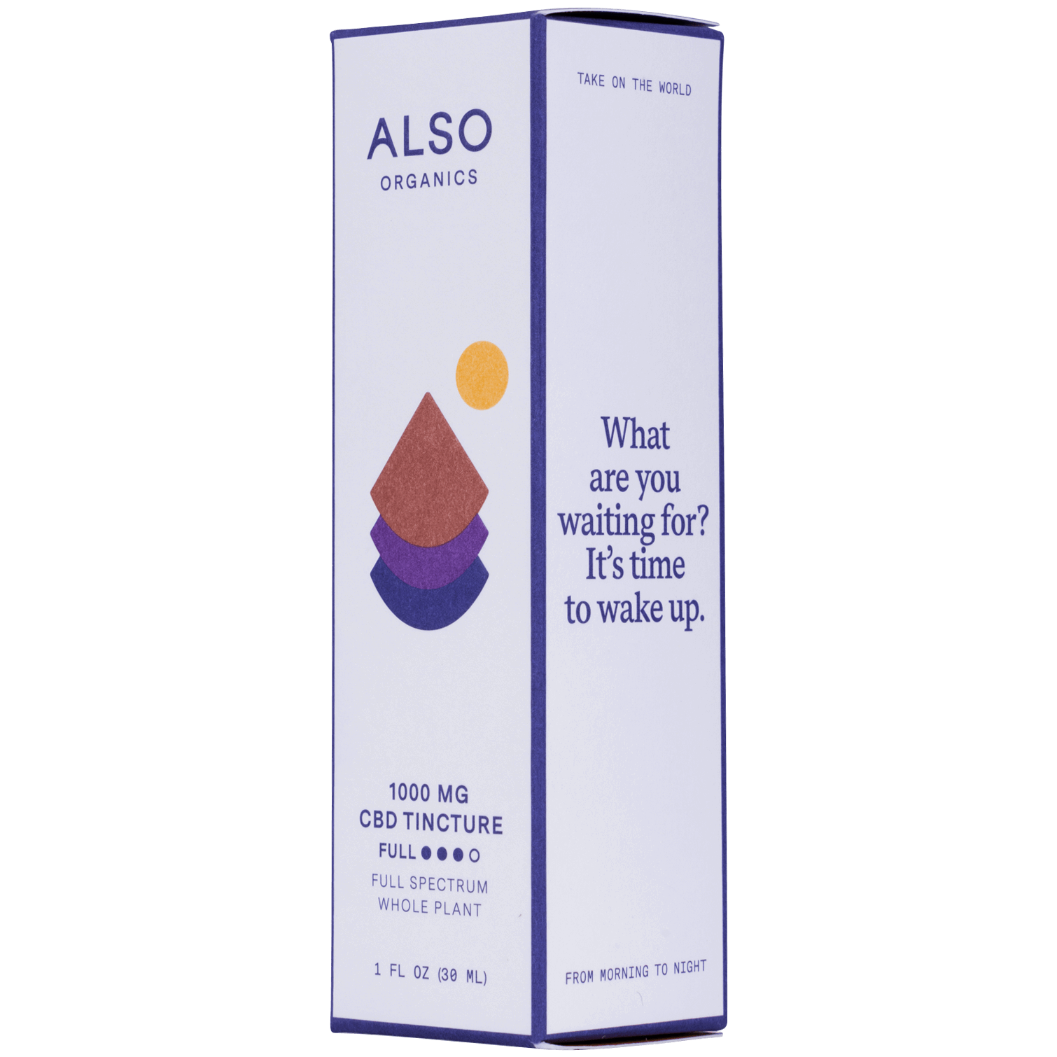 1000 MG CBD Tincture