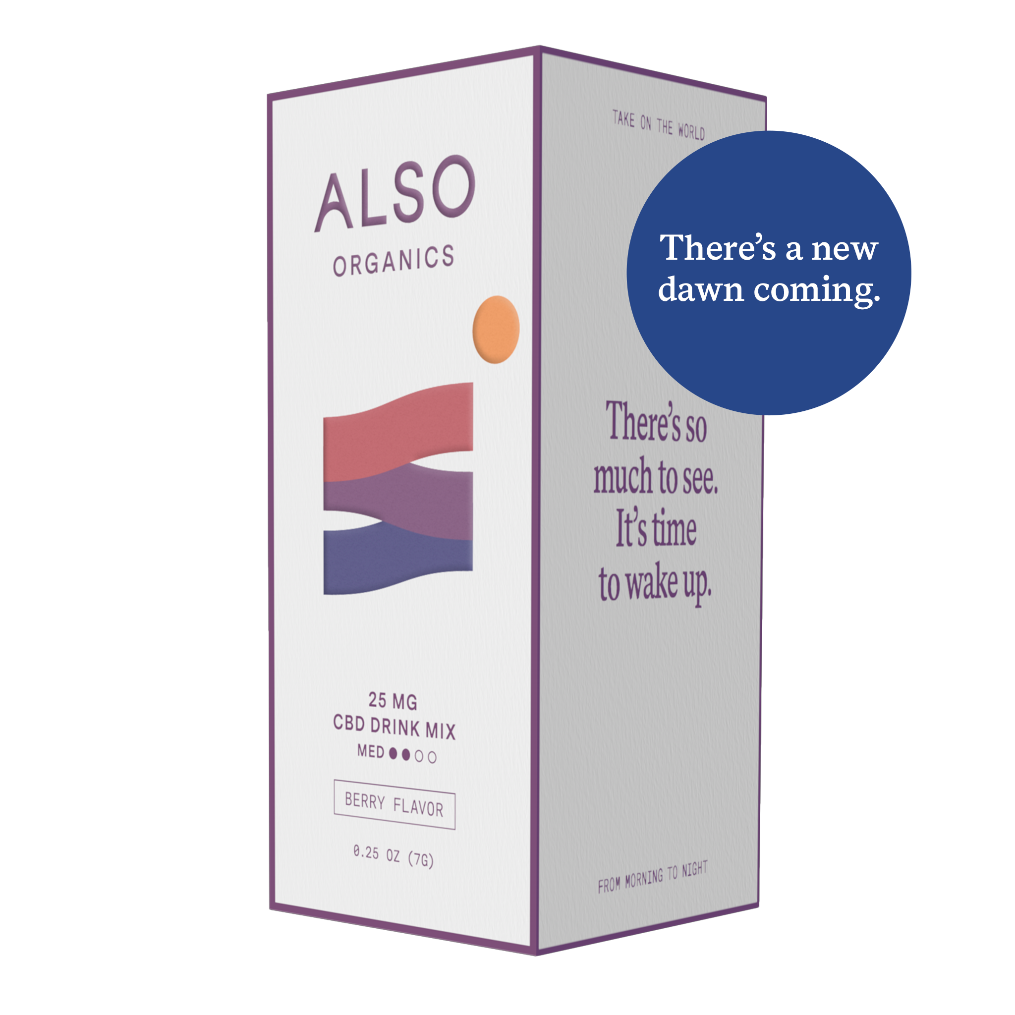 25 MG CBD Drink Mix (Berry)